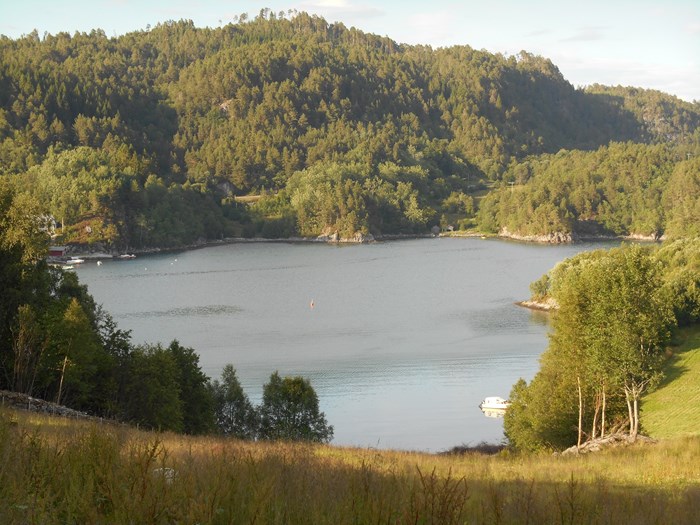 Utsikita over Vågen frå tunet i Honningdalsnes..jpg