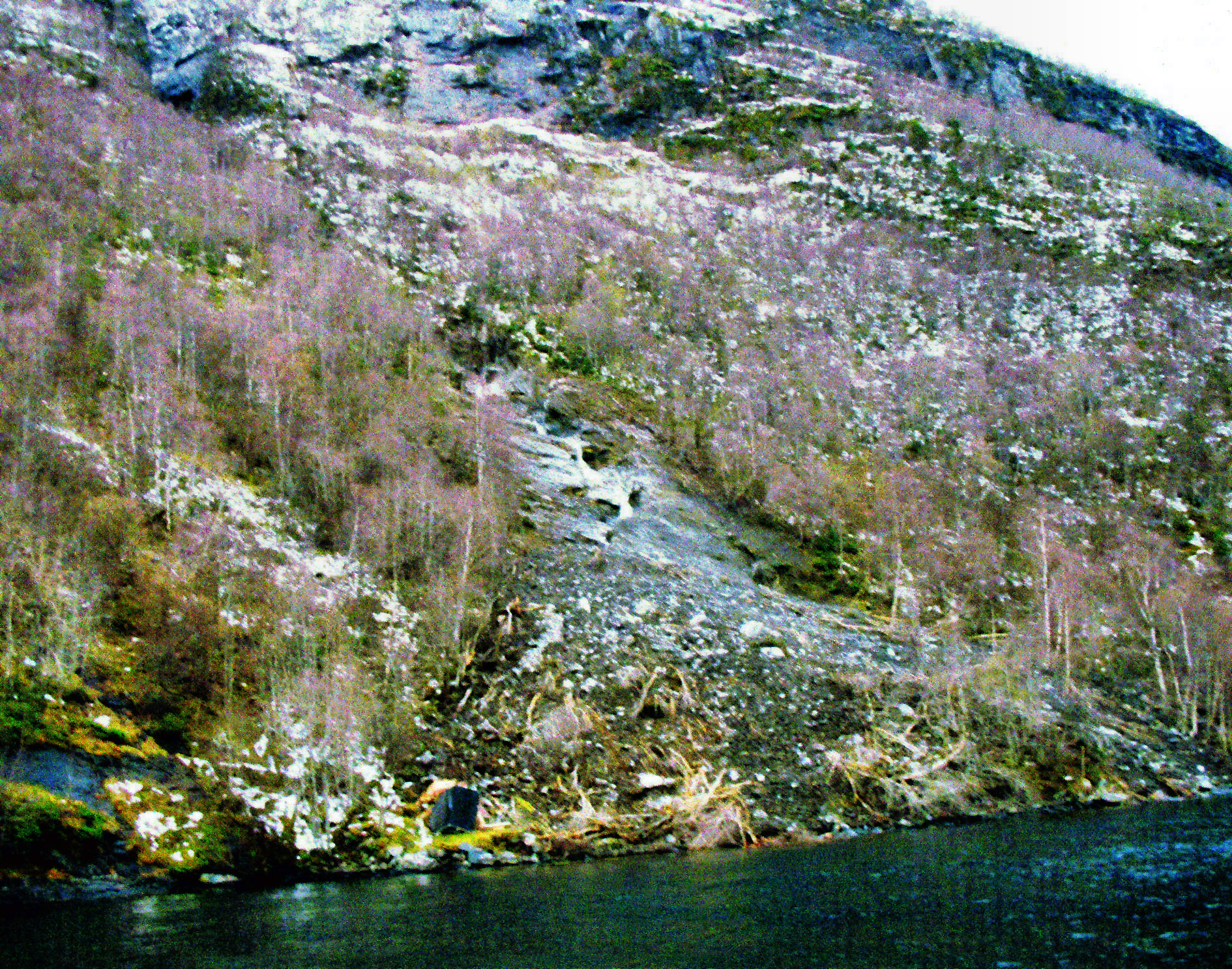 MF Isflå2008.jpg